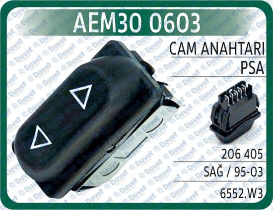 AEM 300603 Cam Anahtari P206 P405 Sag   95-03